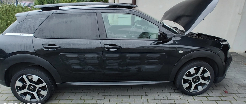Citroen C4 Cactus cena 24250 przebieg: 219966, rok produkcji 2016 z Brok małe 407